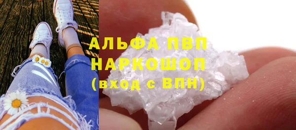 стафф Аркадак