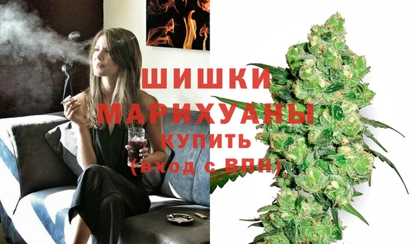 дживик Арсеньев