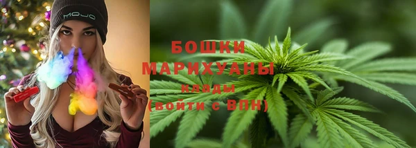 гидра Армянск