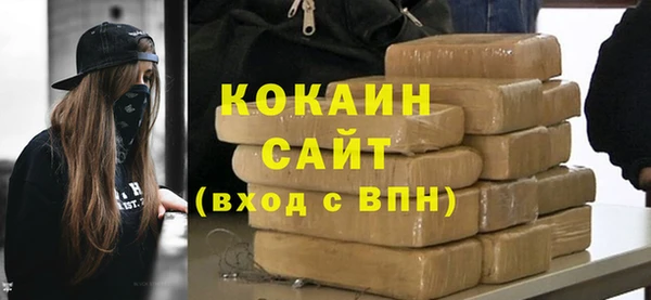 дживик Арсеньев