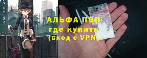 стафф Аркадак