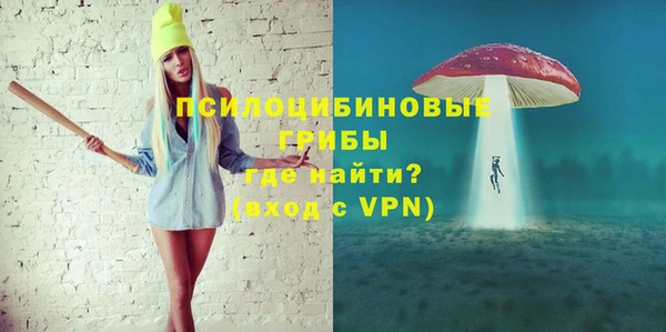 гидра Армянск